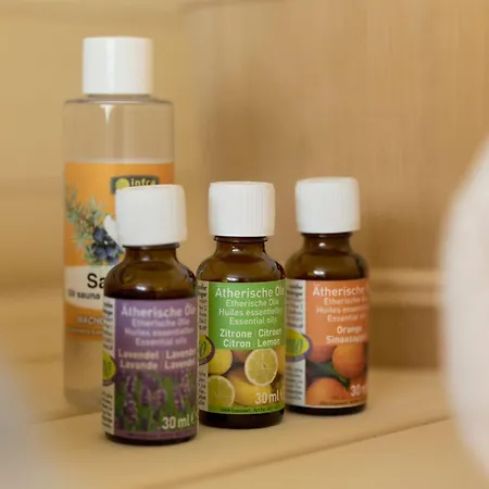 G&s Premium Mit Sauna Дом отдыха *